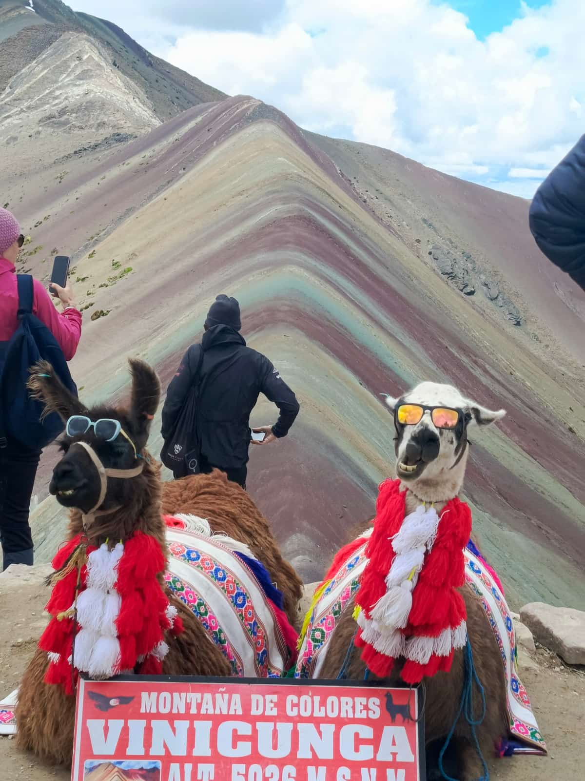 Two alpacas wearing sunglasses and traditional Andean saddle cloths in front of the 'Montaña de Colores Vinicunca — Alt 5,036 m.s.n.m.' photo sign, with three tourists admiring the striped mountain behind them.